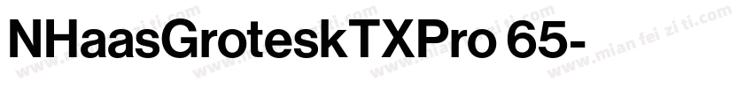 NHaasGroteskTXPro 65字体转换